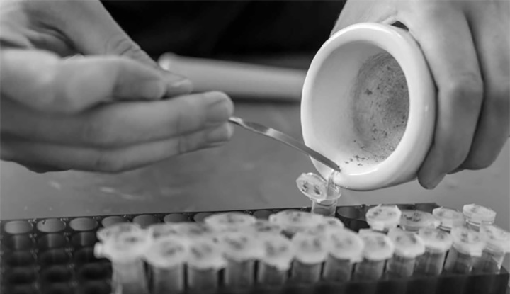 Lab samples being placed into testing tubes.